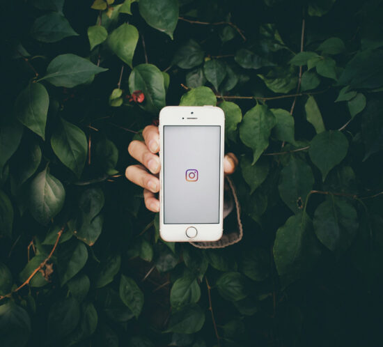 How to use Display Purposes (like a human) to grow your Instagram account