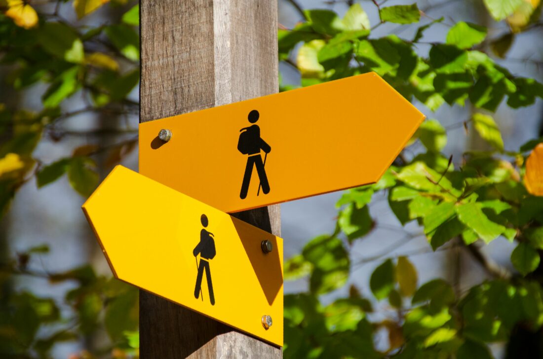 Give your brand direction with a mini brand guide or story guide