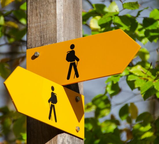 Give your brand direction with a mini brand guide or story guide